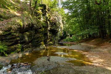 Nature reserve Zidova strouha (Židova strouha - in czech) near city Bechyne. Czech republic.
