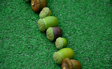 row of acorns on a green carpet background. queue of people with different hats. heads of people of...