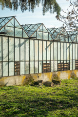 Fototapeta na wymiar View of glass greenhouses on a summer day