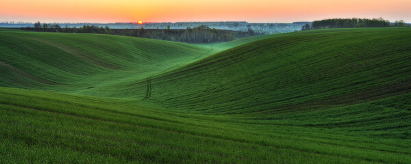 Obraz premium Panoramic landscape with beautiful green hills. Abstract landscape. Nature of Ukraine 