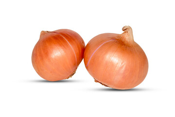 Onions isolated on white  background