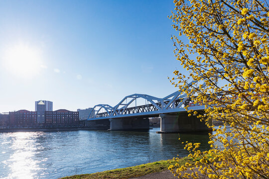 Germany, Baden-Wurttemberg, Mannheim, Sun shining over Konrad Adenauer Bridge stretching over Rhine River