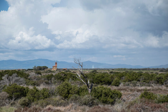 Scenic view of landscape at Foce dell'ombrone, Parco Regionale della Maremma, Grosetto, Italy