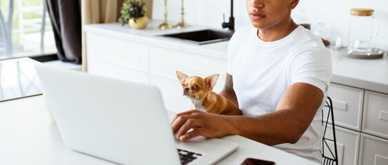 African american man using laptop and holding Chihuahua dog while working in kitchen, banner shot 