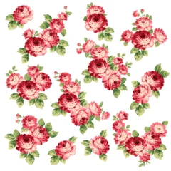 Fotobehang Bloemen Beautiful rose illustration material collection,