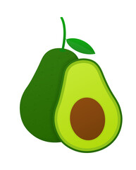 Fresh fruit avocado. Realistic vector avocados illustration. Whole and cut avocado
