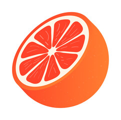 Grapefruit. A whole grapefruit and a cut. Vector stock illustration.