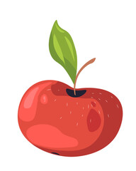 Apple fruit, organic and natural product from farm