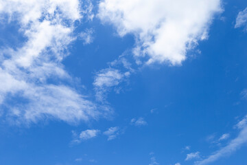 Obraz premium Tropical summer sky background, nature background