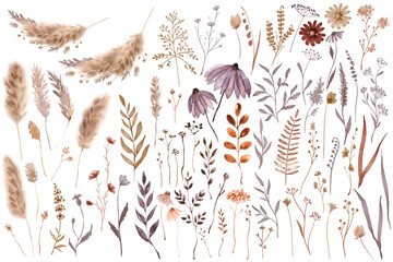 Watercolor Fall Dry Flowers Clipart Isolated PNG
