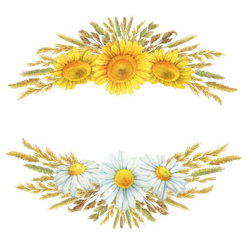 Border, frame with summer field dry herbs, meadow spikelets, white and yellow chamomile flowers (cota, daisy, chamomilla). Watercolor hand drawn painting illustration, isolated on white background.