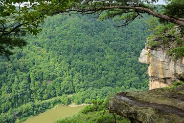 looking down at the new river gorge, green forests,  and cliffs along  the endless wall trail in...