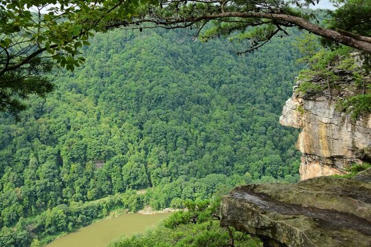 looking down at the new river gorge, green forests,  and cliffs along  the endless wall trail in summer, from diamond point, near fayettesville, west virginia