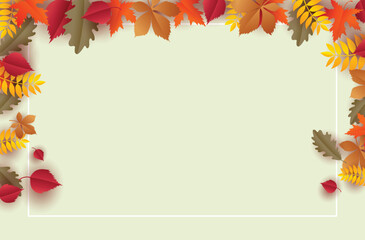 Autumn leaves frame and white border