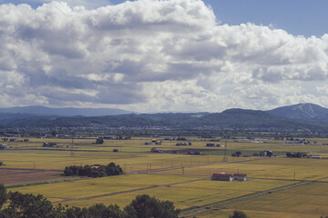 Obraz premium 北海道の田園風景（新十津川）