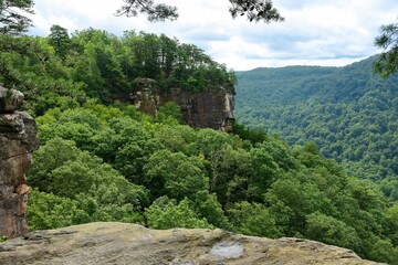  cliffs  and lush forests  at the diamond point overlook   along the endless wall trail in summer  in new river gorge national park near lansing, west virginia