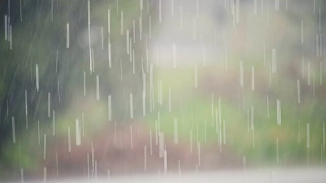 Heavy raining on rural scene in rainy season