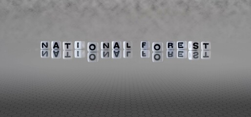 national forest word or concept represented by black and white letter cubes on a grey horizon background stretching to infinity