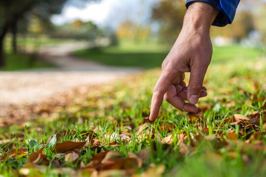 Madrid Spain. November 9, 2020. Farmer's hand indicating with his finger towards the autumn soil in sunny day. Concept: Farmer searching the field for possible pests or weeds