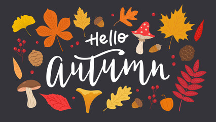 Hello autumn hand drawn vector calligraphy with leaves set. Cute different leaves, mushrooms, berries and acorns. Fall seasonal elements vector illustration