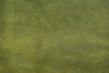 green texture