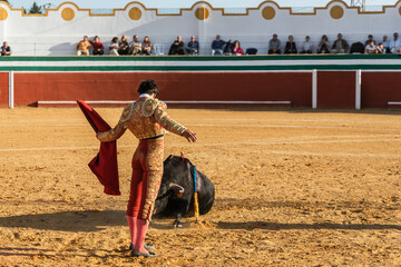 Anonymous torero in front of defeated bull