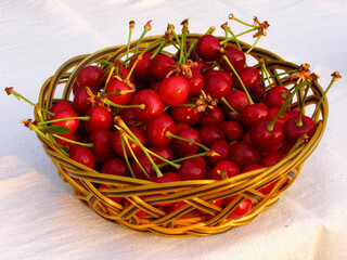 Cherries in a wicker basket on a light colored tablecloth.