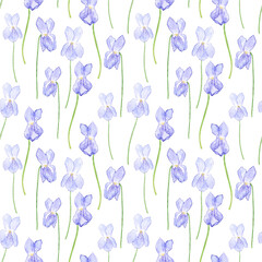 Wood violet flower seamless pattern on white background. Watercolor hand drawing illustration. Viola Odorata for design.