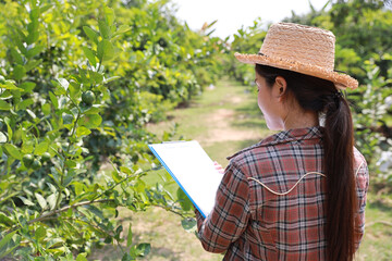 Asian agronomist or woman farmer reading report and inspecting growing crops data from clipboard for increasing productivity in agriculture field, modern smart farming with technology concept