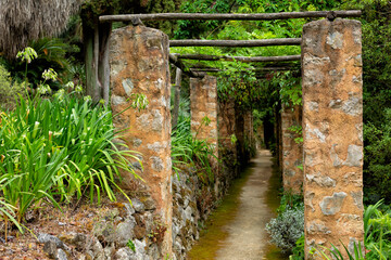 Old Pergola and pathway,of the French garden. Jardin Serre de la Madone, with rare plantings. Summer. Menton, France.