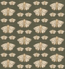 OLIVE SEAMLESS PATTERN WITH WATERCOLOR MOTHS