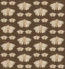 BROWN SEAMLESS PATTERN WITH WATERCOLOR MOTHS