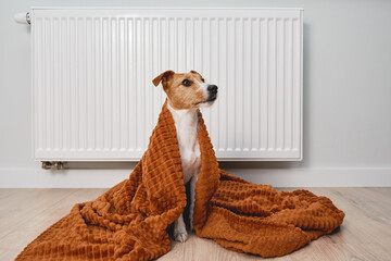 Cold winter in europe households, rising costs of gas and electricity in winter season, dog...