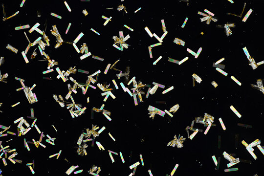 Microphoto Bilder – Durchsuchen 1,134 Archivfotos, Vektorgrafiken und ...