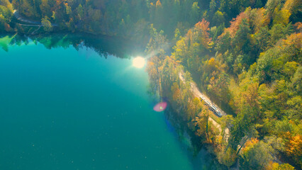 AERIAL Tourist train driving around beautiful Lake Bled shore in colorful autumn