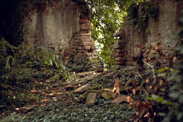 Aged brick wall of historic castle in autumn garden of Vojvodina Serbia