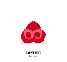 Red ripe raspberries isolated on the white background. Vector illustration. Card or template