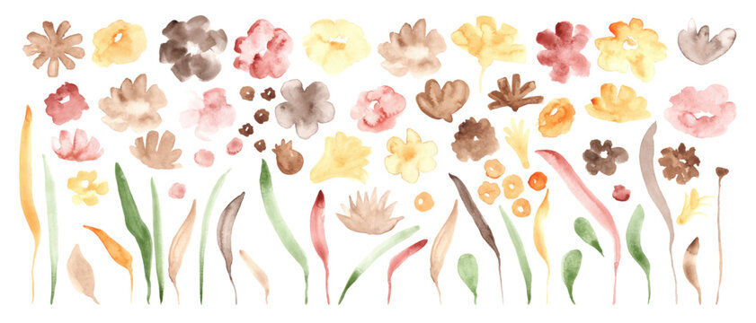 Set of watercolor colorful flowers. Autumn warm color palette. Hand painted design elements. Botanical art.