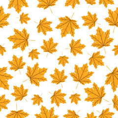 Seamless vector pattern with yellow maple leaves on a white background.