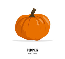 Pumpkin vector icon or print design. Fresh orange juicy squash isolated on the white background