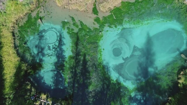 Aerial over the turquoise geyser lake with transparent mineral water and blue clay on the lakebed. Lake surrounded with green forest. Beauty in nature