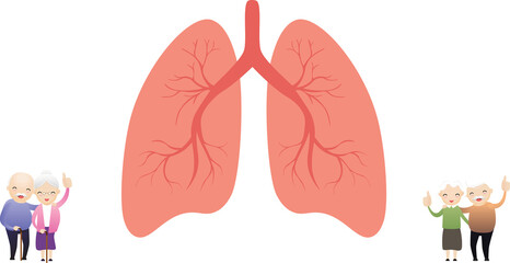 Fototapeta premium Lung organ anatomy symbol for health and medical with old man and old woman.