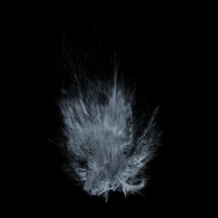 Obraz premium Water Splash / Spray Overlay on Black Background 