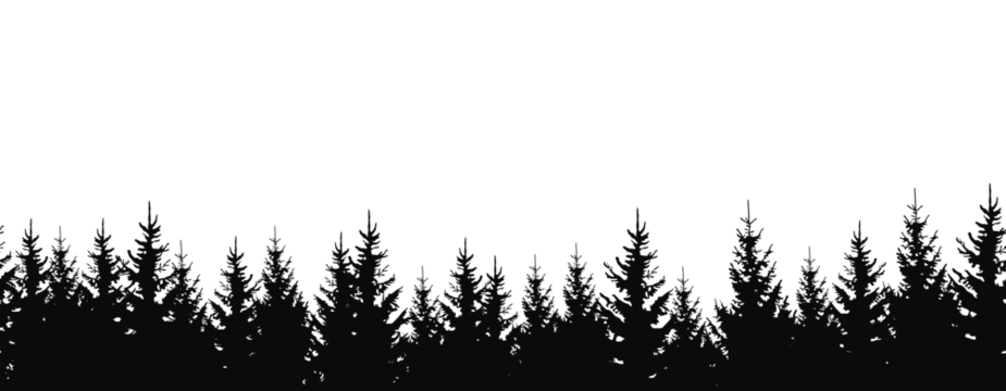 Seamless pattern with silhouettes of trees on white background