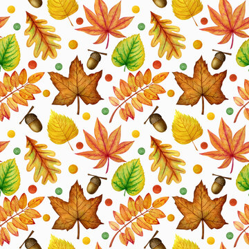 A seamless pattern of colorful autumn leaves. Oak, aspen, mountain ash, maple, acorn. Watercolor illustration. Done manually
