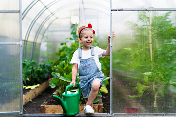 little blonde girl in denim overalls, watering the crop in the greenhouse, the concept of children's gardening