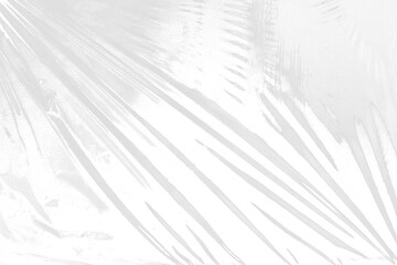 wrapping texture on white background