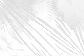 wrapping texture on white background