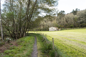 Fototapeta na wymiar Sendero discurriendo por una pradera verde con un bosque y una casa al fondo en Galicia