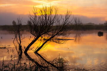 Naklejka premium Sunrise on the lake